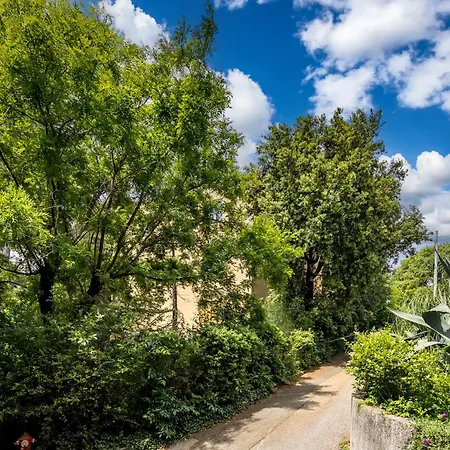 Nurli Near - Happy Appartamento